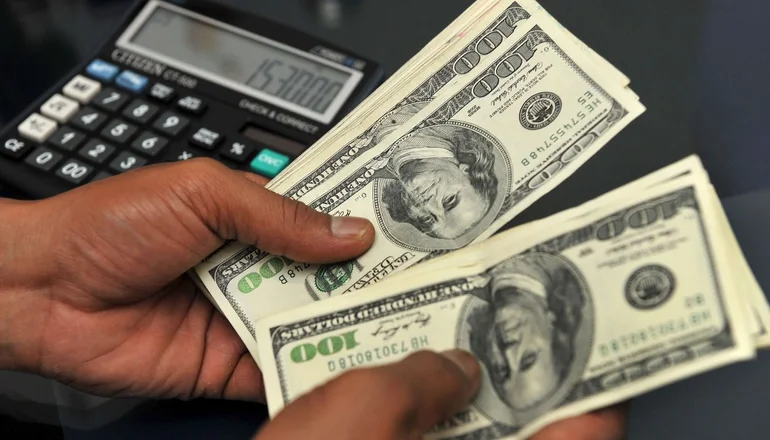dolares