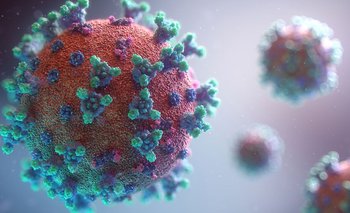 Estudio descubre que la variante Ómicron pudo haberse originado en ratones | Coronavirus