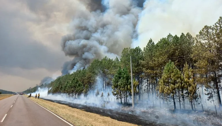 Incendios en Corrientes: los focos están "controlados" en toda la provincia