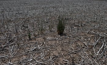 Sequía: el Gobierno invertirá $70.000 millones en beneficios a productores | Campo