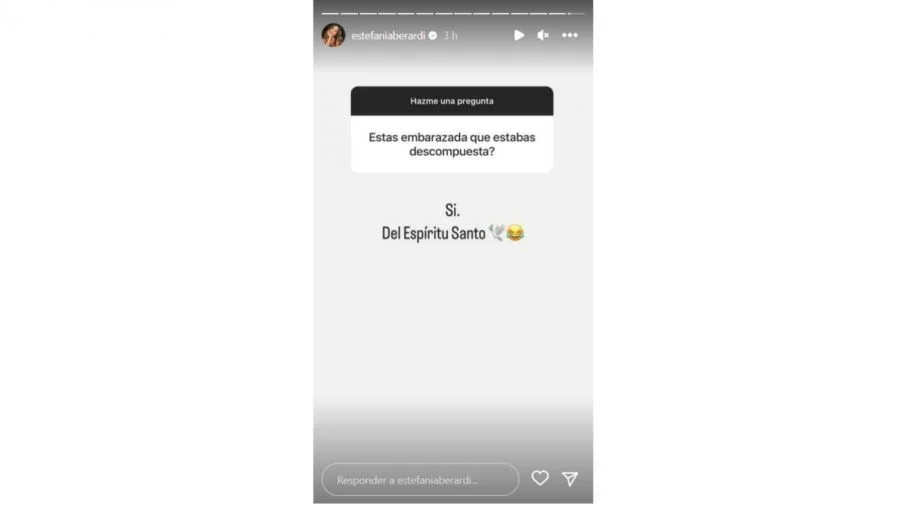 Estefi Berardi rumores de embarazo