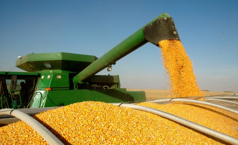 Compensaciones: modifican resolución para beneficiar a productores de maíz Compensaciones: modifican resolución para beneficiar a productores de maíz | El Destape