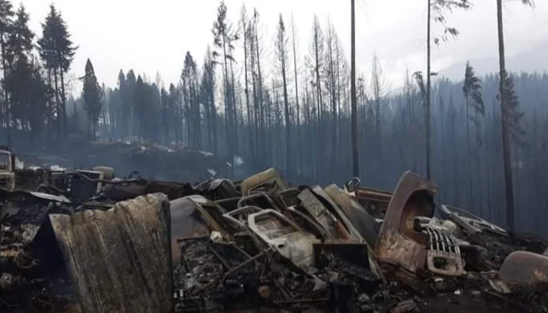 Incendios en El Bolsón: las trágicas imágenes después del fuego