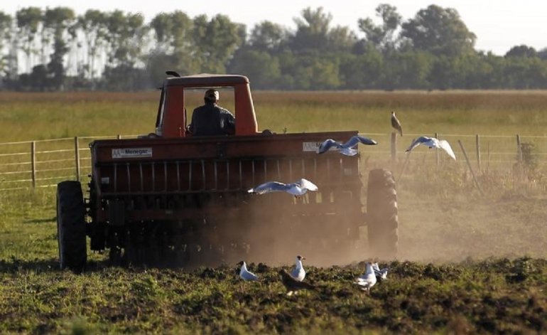 Ya son oficiales las compensaciones a pequeños productores por $2,5 mil millones Ya son oficiales las compensaciones a pequeños productores por $2,5 mil millones | El Destape