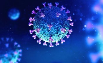 Investigación clave de la ciencia argentina contra COVID-19 | Coronavirus en argentina