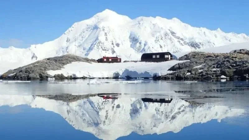 La nieve en la Antártida, protagonista por un trabajo de 2000 dólares por contar pingüinos