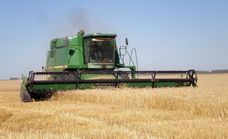 Histórico: Argentina importará trigo por primera vez Histórico: Argentina importará trigo por primera vez | El Destape