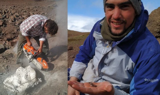 Encuentran restos de un enorme dinosaurio carnívoro de 70 millones de años en la provincia de Santa Cruz