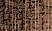 Impactantes imágenes: en Chile cavan miles de tumbas tras alcanzar un record en la cifra de muertos