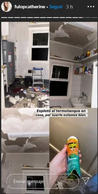El peligroso accidente doméstico que sufrió Catherine Fulop