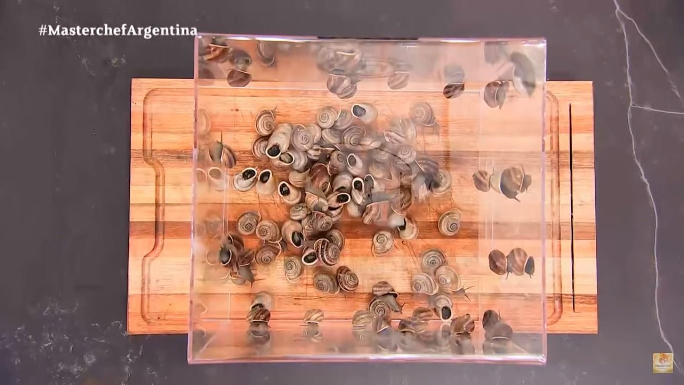 caracoles MasterChef Celebrity