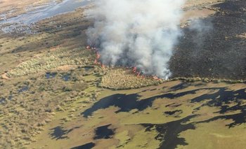 Alerta por nuevos incendios en las islas del delta del Río Paraná | Incendios