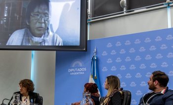 Se presentó un proyecto para lograr la intervención del Poder Judicial en Jujuy | Frente de todos