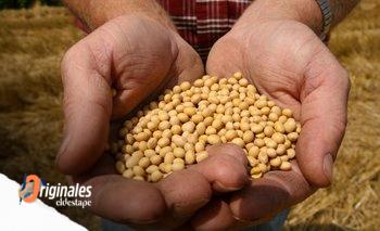 El gobierno busca tentar a las cerealeras, que retienen U$S 6 mil millones | Dólar soja