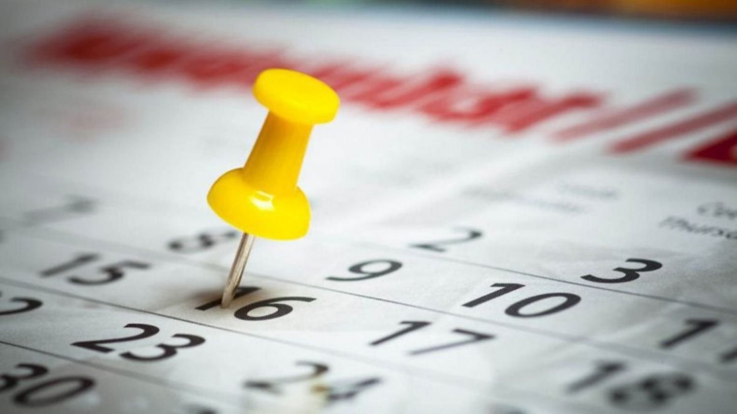 Lunes 8 de julio: ¿es feriado? Lunes 8 de julio: ¿es feriado? | El Destape