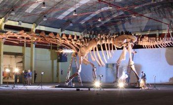 El dinosaurio mas grande del mundo estrenará su nueva casa | Conicet