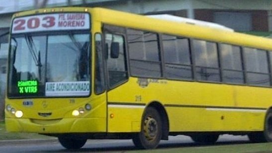 Paro de la línea 203 de colectivos por agresión a un chofer Paro de la línea 203 de colectivos por agresión a un chofer | El Destape