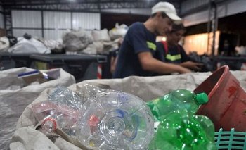 Qué piensan y qué tanto aprendieron los argentinos sobre separación de residuos | Medioambiente
