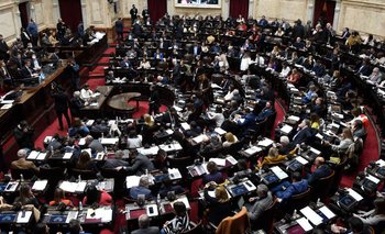 Con la oposición dividida, el Consenso Fiscal tuvo dictamen en Diputados | Congreso