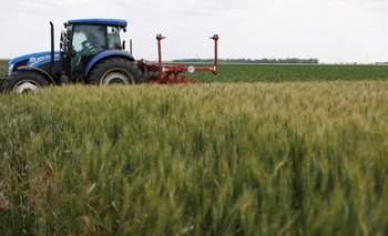 Turquía destaca avances en la exportación de granos ucranianos | Guerra rusia ucrania