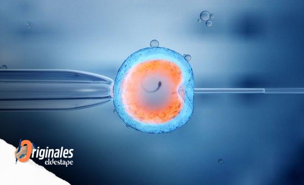 In vitro fertilization: how is the treatment in Argentina and how has it changed over the years