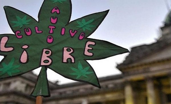Alberto, sobre la legalización de la marihuana: "Debatamos, pero sin hipocresías" - Vimarsana News