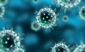  Virus Sincicial: los mayores de 60 años pueden pedir la vacuna ARN | Salud