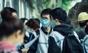 Qué es el Henipavirus, el nuevo virus de origen animal que ya se detectó en China  | Salud