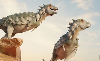 Descubren el primer dinosaurio acorazado bípedo de Sudamérica | Ciencia 
