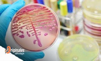 Resistencia a los antimicrobianos, una de las 10 principales amenazas a la salud global | Salud