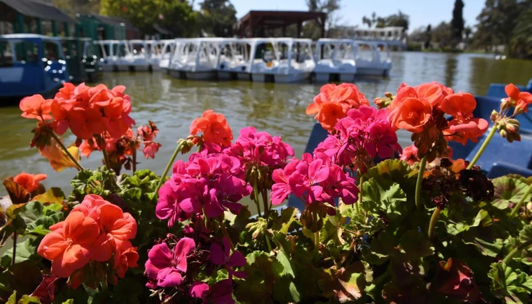 Día de la Primavera