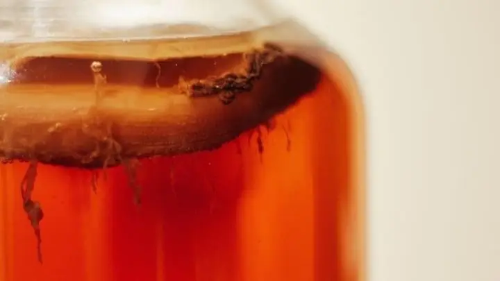 Acción de los probióticos