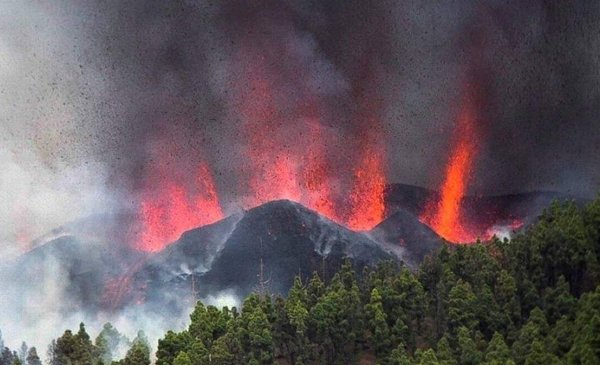 Entró En Erupción Un Volcán En Islas Canarias Los Videos Y Las Imágenes Más Impresionantes El 4920