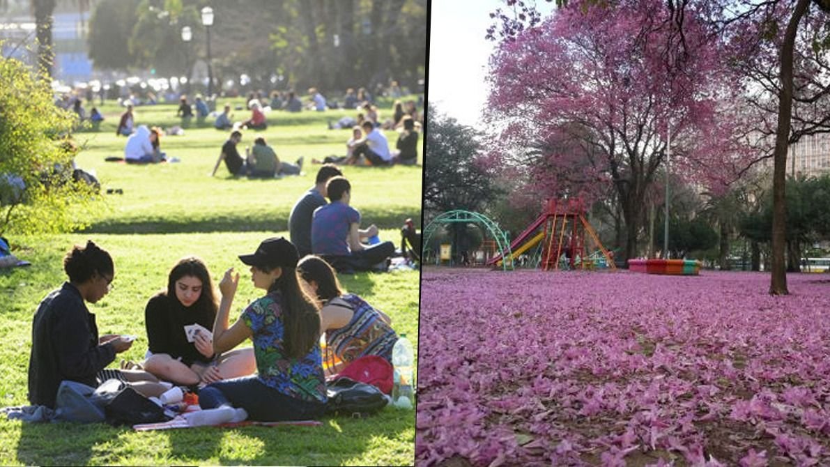 Cuándo empieza la primavera 2021 en Argentina y por qué: la fecha y  explicación | El Destape