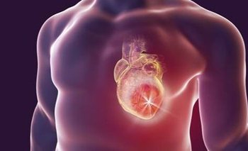 Día mundial del corazón: cómo cuidar este órgano vital | Salud