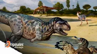 Descubrieron un nuevo dinosaurio carnívoro en Argentina: el 