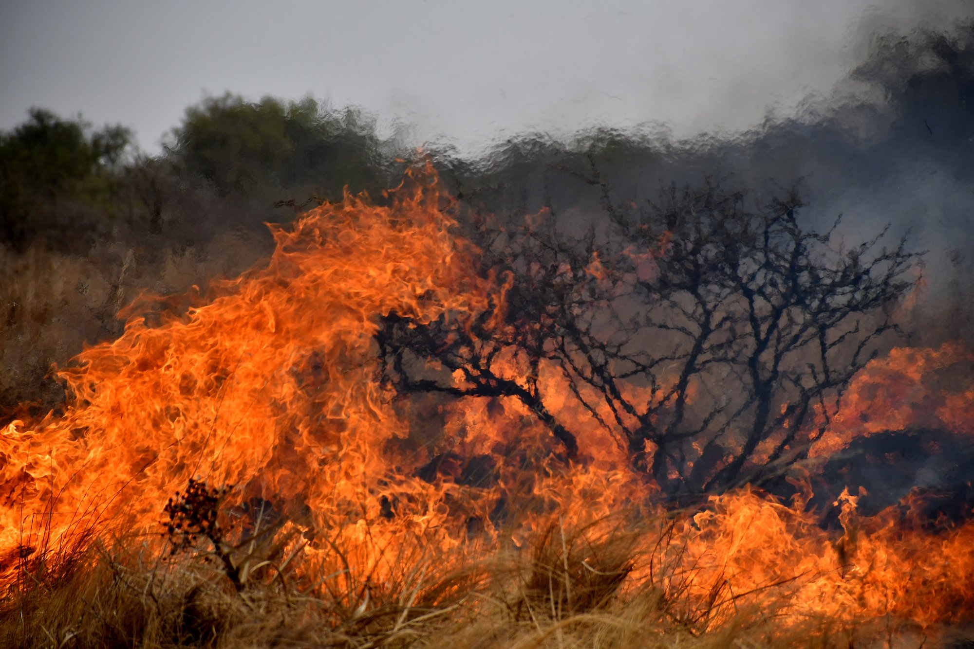 Detienen a dos personas en Córdoba por causar incendios forestales
