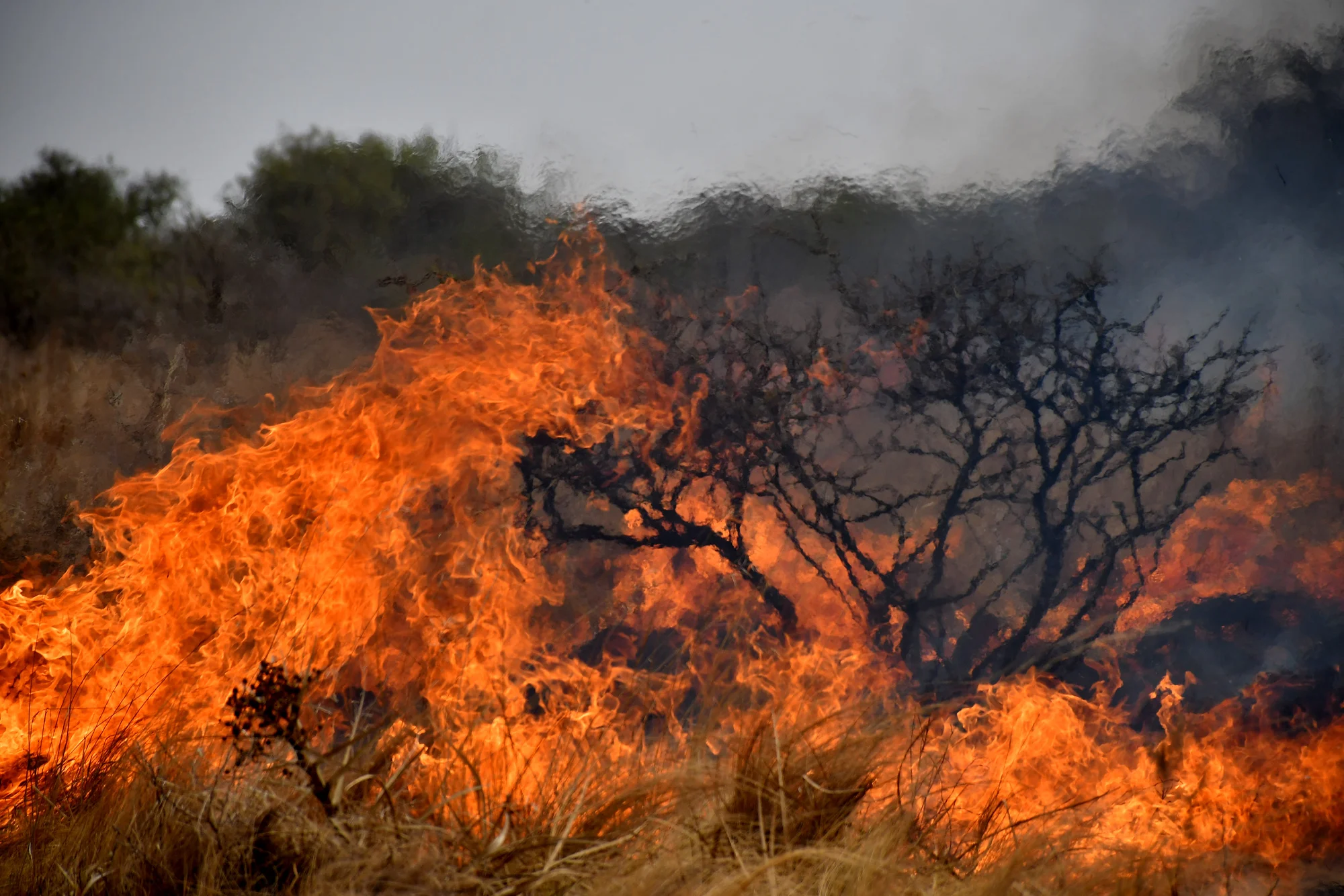 Detienen a dos personas en Córdoba por causar incendios forestales