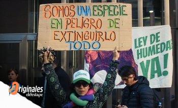 Ley de Humedales: semana clave en el Congreso en una situación crítica | Incendios en argentina