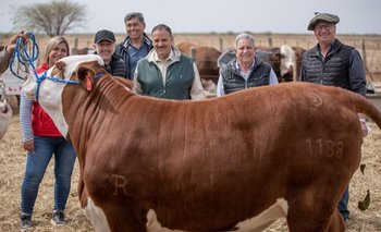 La Rioja tendrá su Primer Remate de Cabañas con beneficios para productores ganaderos | La rioja 