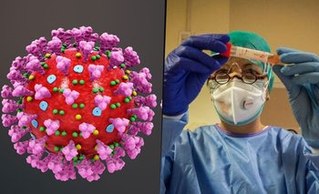 Coronavirus: aseguran que la inmunidad de por vida es posible | Pandemia