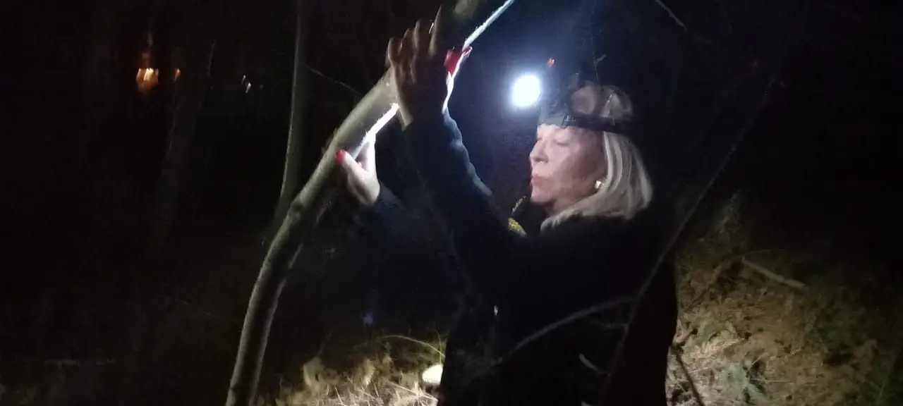 Elisa Carrió busca votos abajo de los árboles en Neuquén