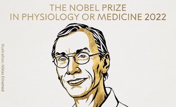Premian investigación sobre la evolución de la especie humana | Premio nobel