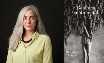 Mercedes Araujo: "Escribir sobre generaciones de mujeres fue una decisión política" | Libros