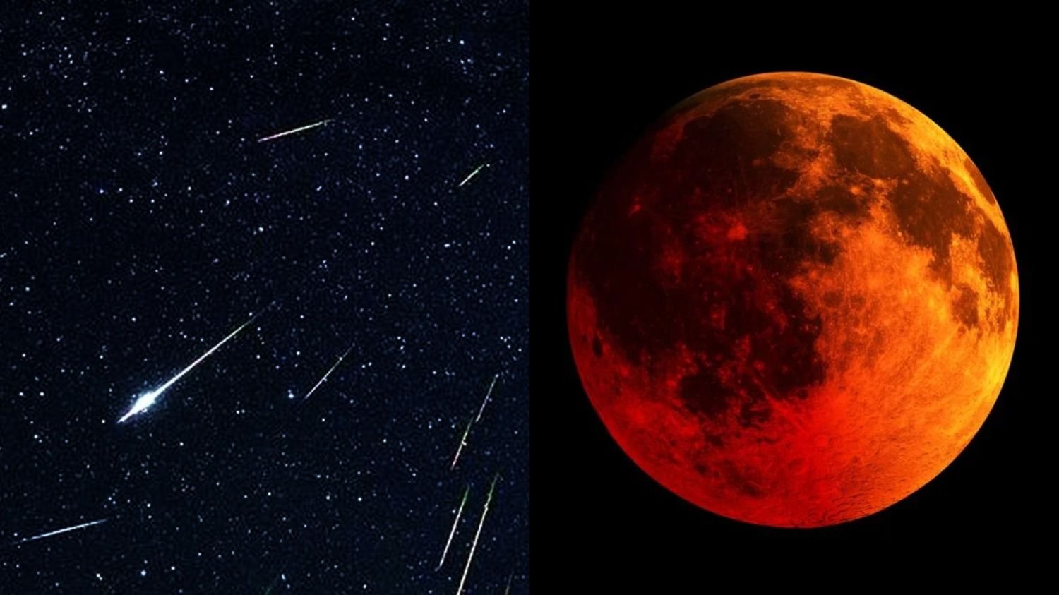 Eventos astronómicos noviembre 2021: eclipse de luna de sangre y dos  lluvias de estrellas | El Destape