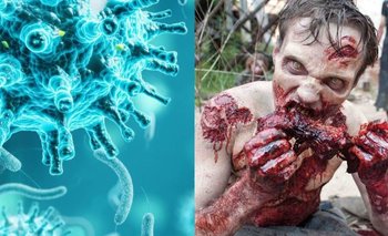Científicos revivieron un "virus zombie" después de casi 50 mil años | Viral
