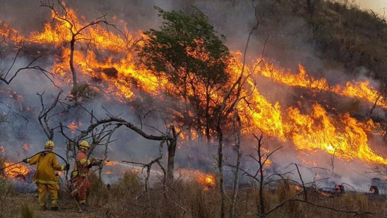 Incendios forestales en la Patagonia: siguen las tareas y Nación envía más recursos para combatirlos | El Destape